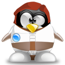 Penguin pingouin pinguino 240